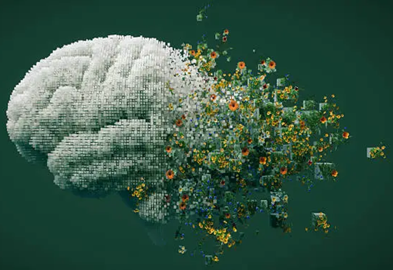 brain science nature