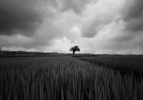 prithiviraj-a-p2GkEDD1Obc-unsplash